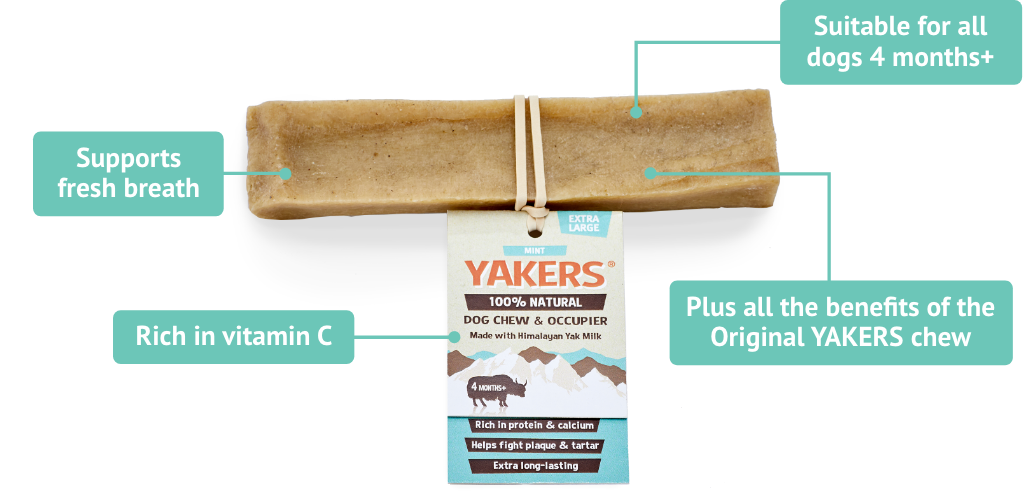 Yakers Mint Dog Chews Medium