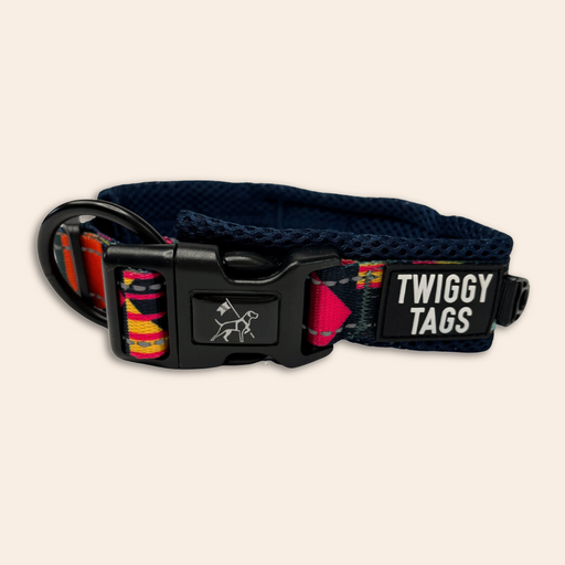 Twiggy Tags Adventure Collar Aurora