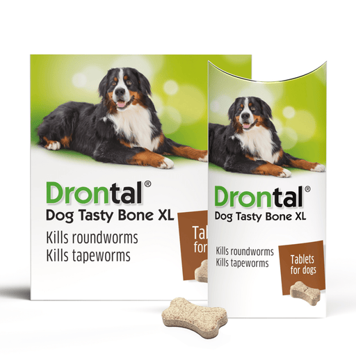 Drontal XL Dog Wormer (Each) PML