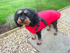 Harness Dog Jacket Red