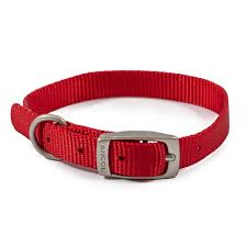 Ancol Buckle Nylon Collar Red