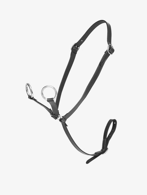 LeMieux Toy Pony Martingale Black