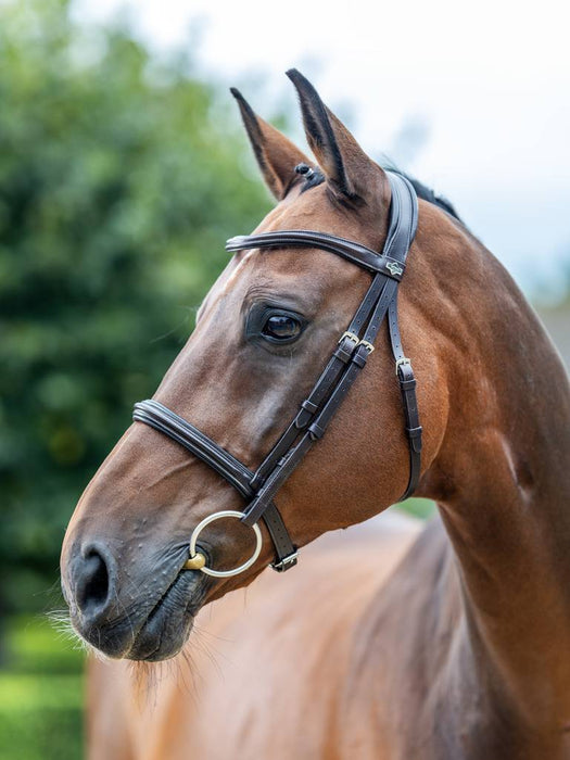 LeMieux Arika Cavesson Bridle Brown & Silver