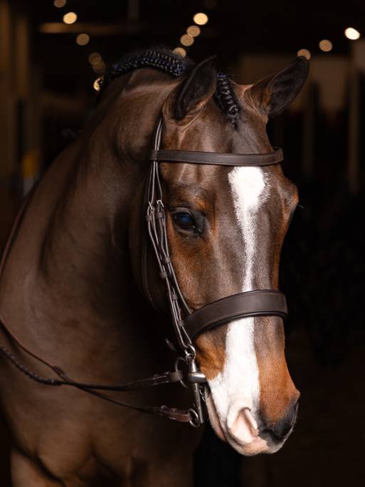 LeMieux Flat Hunter Bridle Havanna & Silver