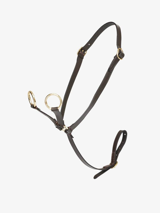 LeMieux Toy Pony Martingale Brown