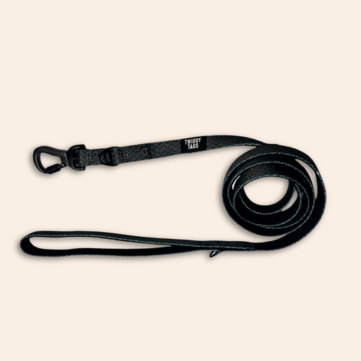 Twiggy Tags Adventure Lead 1.5m Petrichor