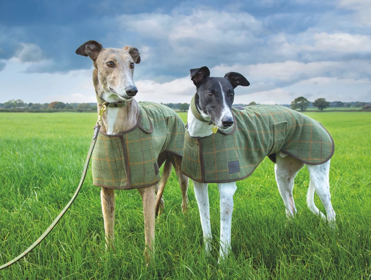 Tweed whippet clearance coat