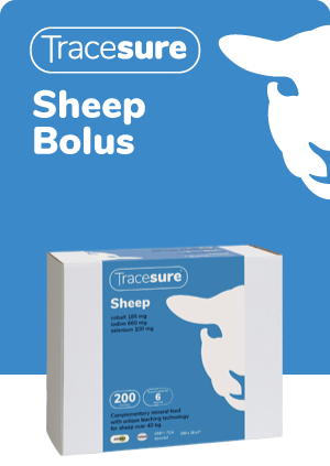 Animax Tracesure Sheep & Lamb Bolus 50pk