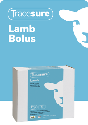 Animax Tracesure Lamb Finisher Bolus 250pk