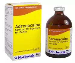 Adrenacaine 100ml PML