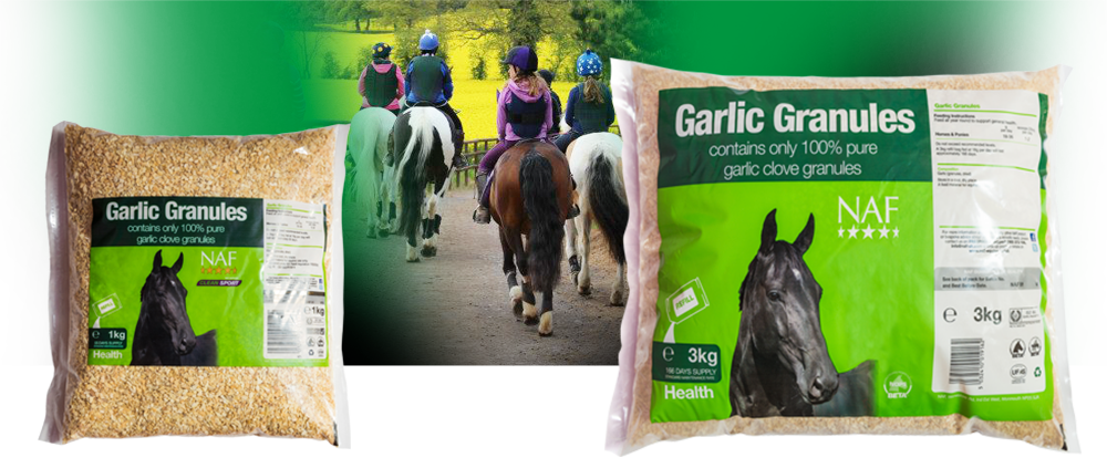 NAF Garlic Granules Bag