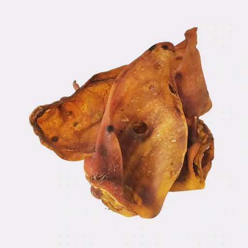 Pigs Ears Pack Of 10